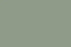 Плита РЕХАУ AQUARELLE PET, цвет - ирландский мох, 1220х2800х18 мм