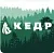 Кедр